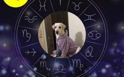 Astrology and Pets: Understanding Your Animal Companion’s Traits